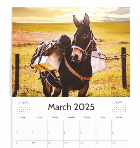 2025 Mountain Mule Packer Ranch Calendar