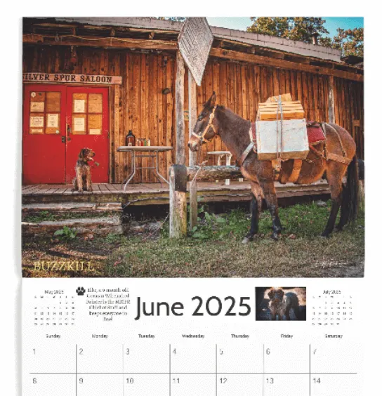 2025 Mountain Mule Packer Ranch Calendar
