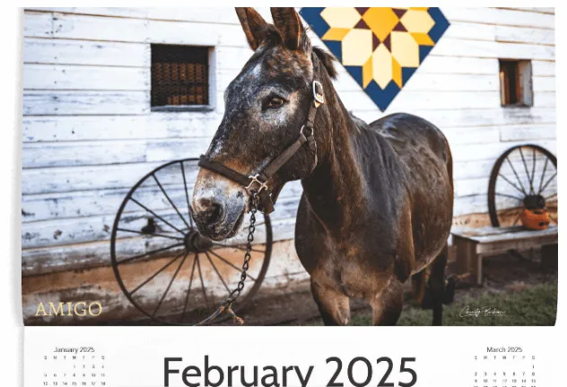 2025 Mountain Mule Packer Ranch Calendar