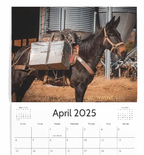 2025 Mountain Mule Packer Ranch Calendar