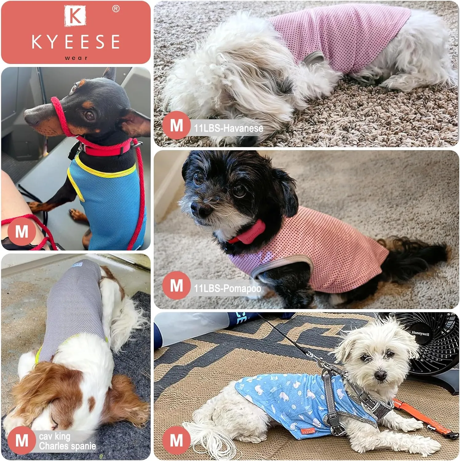 KYEESE 2 Pack Dog Cooling Shirts - Breathable Instant Cooling Vests, Lightweight for Summer Dog Apparel, Blue Grey, Medium