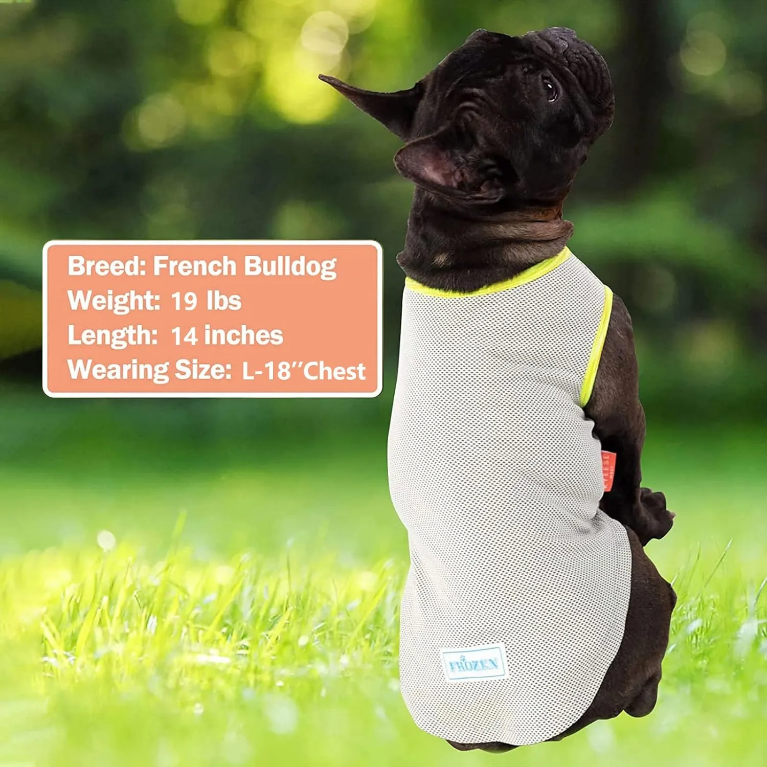 KYEESE 2 Pack Dog Cooling Shirts - Breathable Instant Cooling Vests, Lightweight for Summer Dog Apparel, Blue Grey, Medium