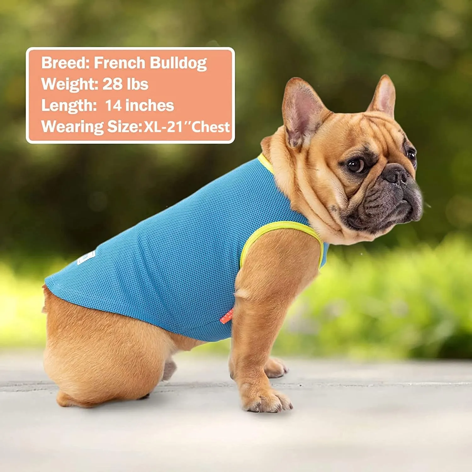 KYEESE 2 Pack Dog Cooling Shirts - Breathable Instant Cooling Vests, Lightweight for Summer Dog Apparel, Blue Grey, Medium