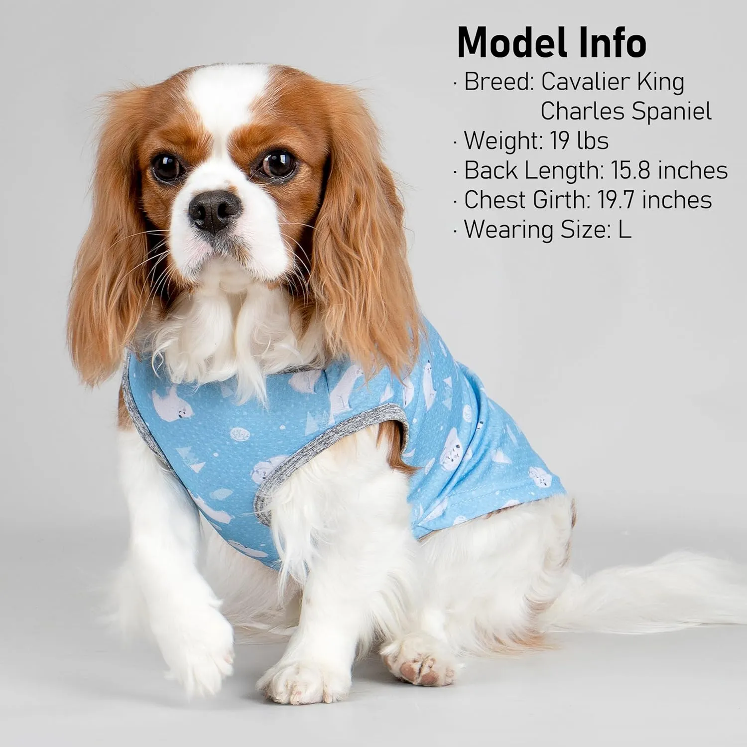 KYEESE 2 Pack Dog Cooling Shirts for Small Dogs Breathable Instant Cooling Dogs Vest Lightweight for Summer Dog Clothes