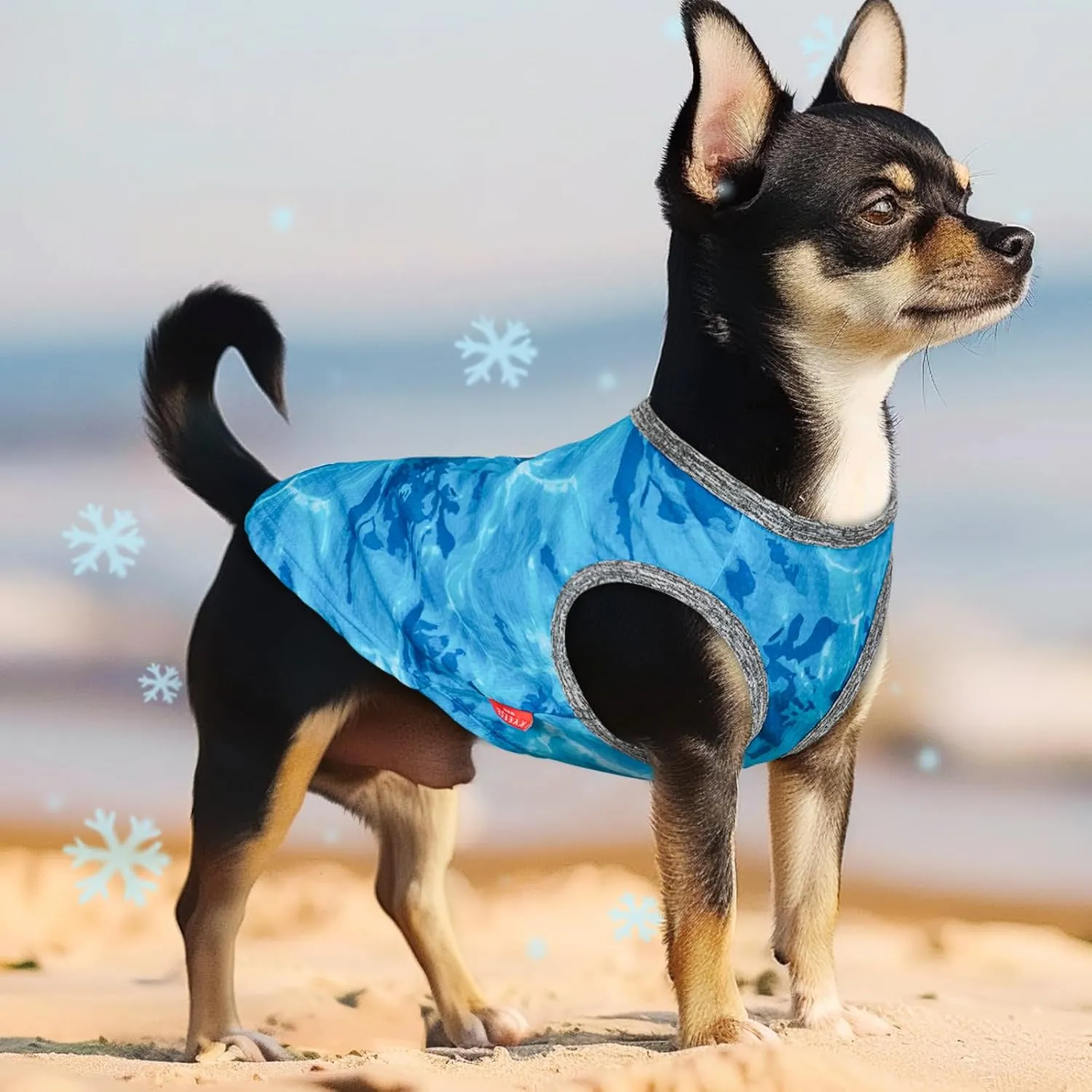 KYEESE 2 Pack Dog Cooling Shirts for Small Dogs Breathable Instant Cooling Dogs Vest Lightweight for Summer Dog Clothes