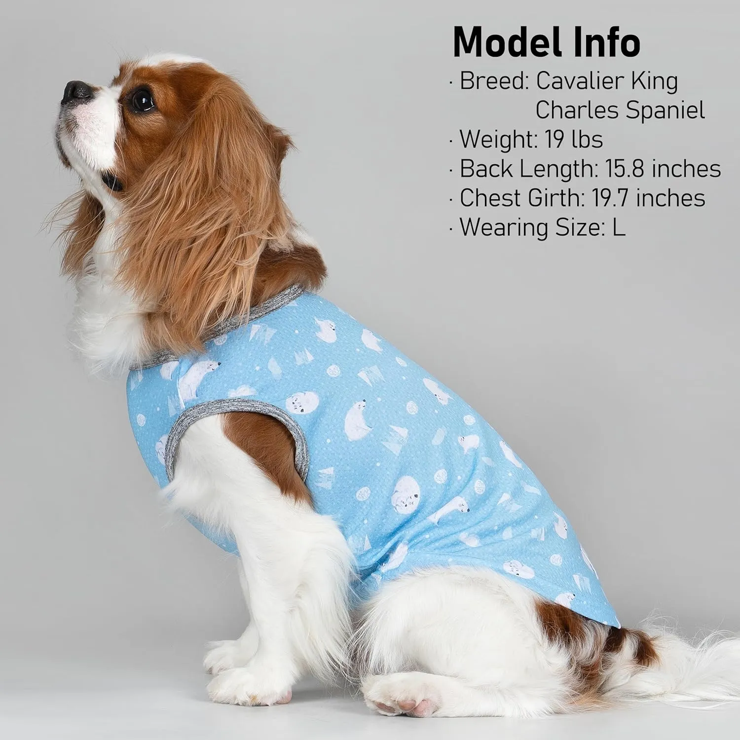 KYEESE 2 Pack Dog Cooling Shirts for Small Dogs Breathable Instant Cooling Dogs Vest Lightweight for Summer Dog Clothes