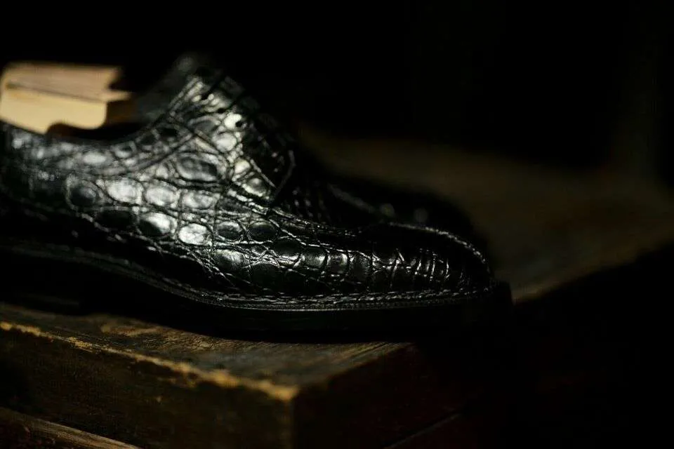 Maison Koly Safari norwegian derby Alligator