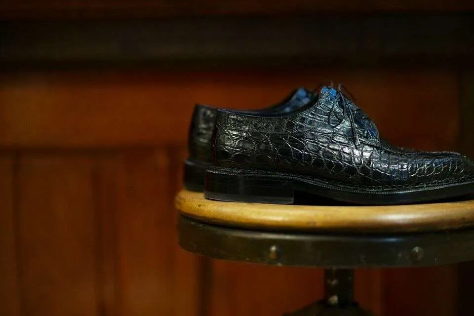 Maison Koly Safari norwegian derby Alligator