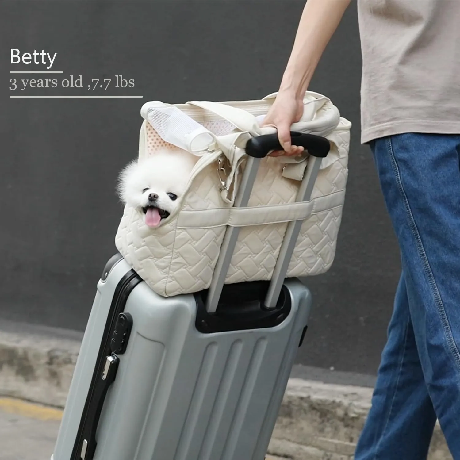 Small Dog Purse Bag Woman,Cat/Puppy Handbag with Multiple Pockets,Breathable Mesh Soft Cushion,Pets Carrier Traveling Totes Picnic Outdoor,7-15lb (Cream, Large)