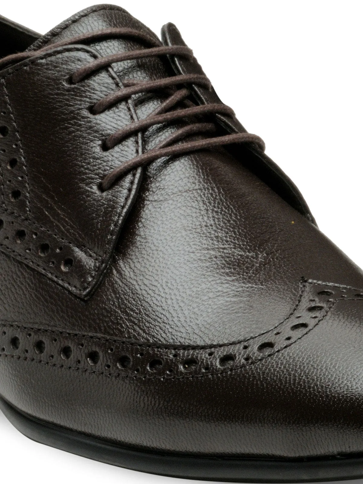 Teakwood Leather Men's Brown Derby Shoes