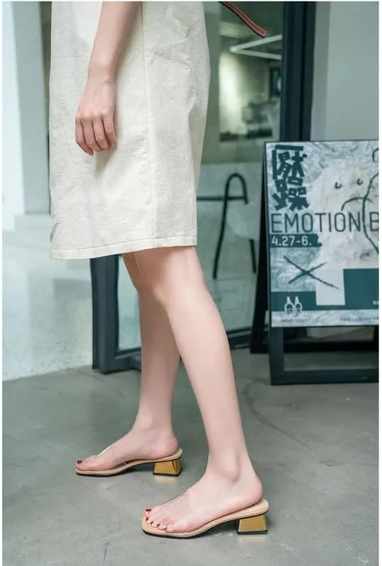 Women's Block Low Heel Clear Mule Sandals Square Toe Transparent Slide Dress Sandal for Office Work